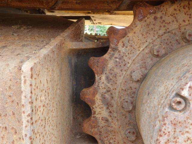 RIMG5064.JPG